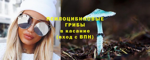 стаф Богородицк