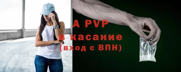 стаф Богородицк