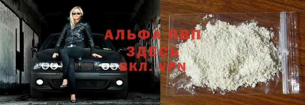 стаф Богородицк