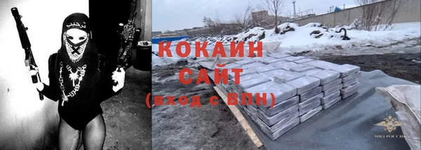 гашик Белокуриха