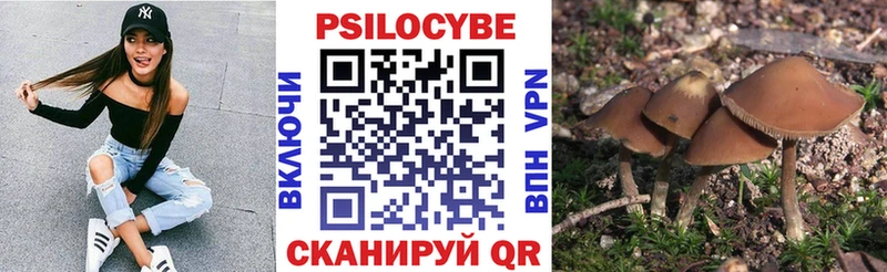 Псилоцибиновые грибы Psilocybe  Валдай 