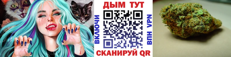 Конопля SATIVA & INDICA  магазин продажи   Валдай 